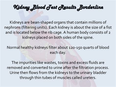 kidney blood test results borderline